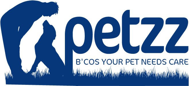 Petzz – Pet Care Content and Product Platform